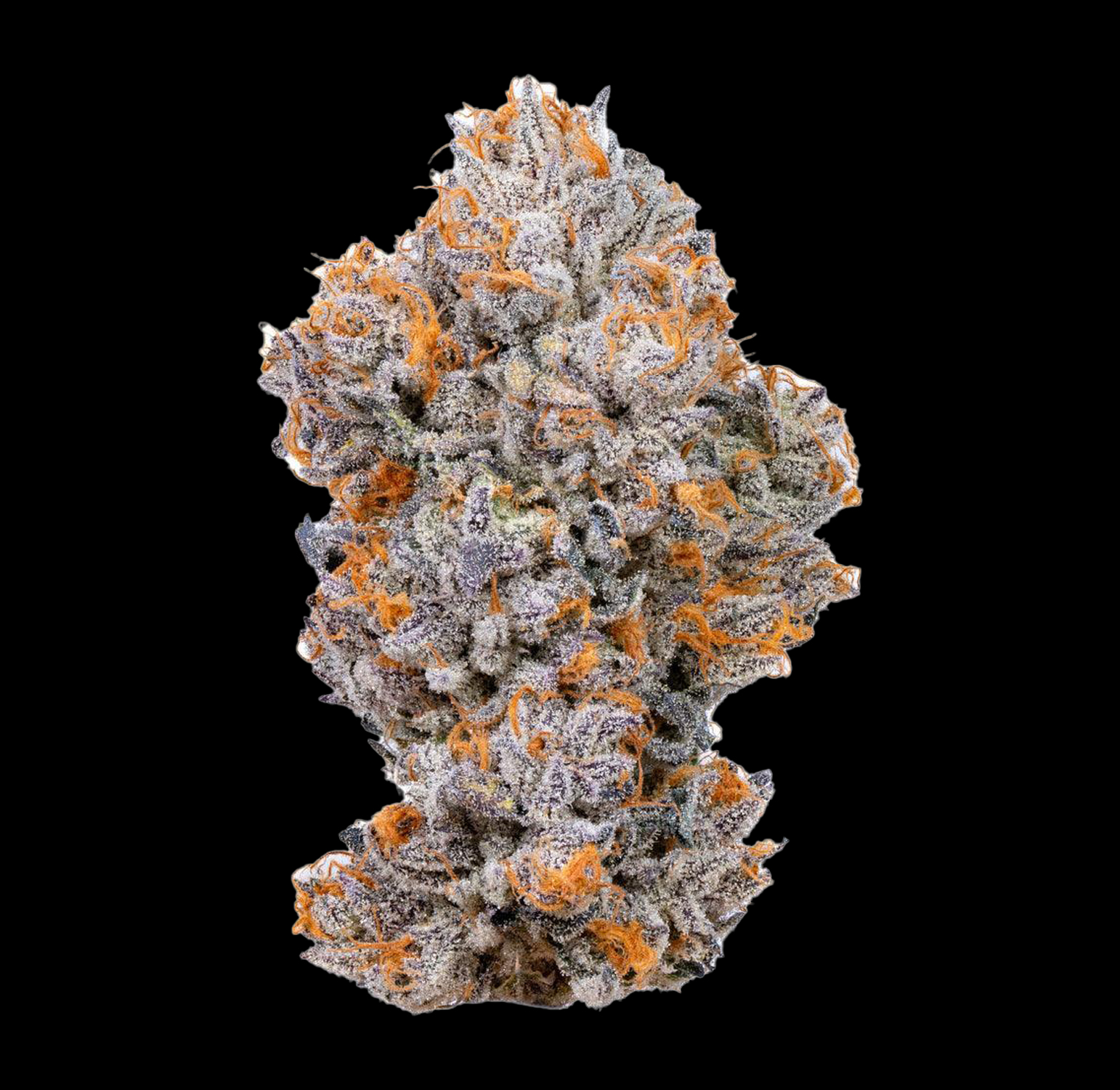 Connected - Biscotti | Premium Flower (3.5g) 2 Connected - Biscotti | Premium Flower (3.5g) - Image 2