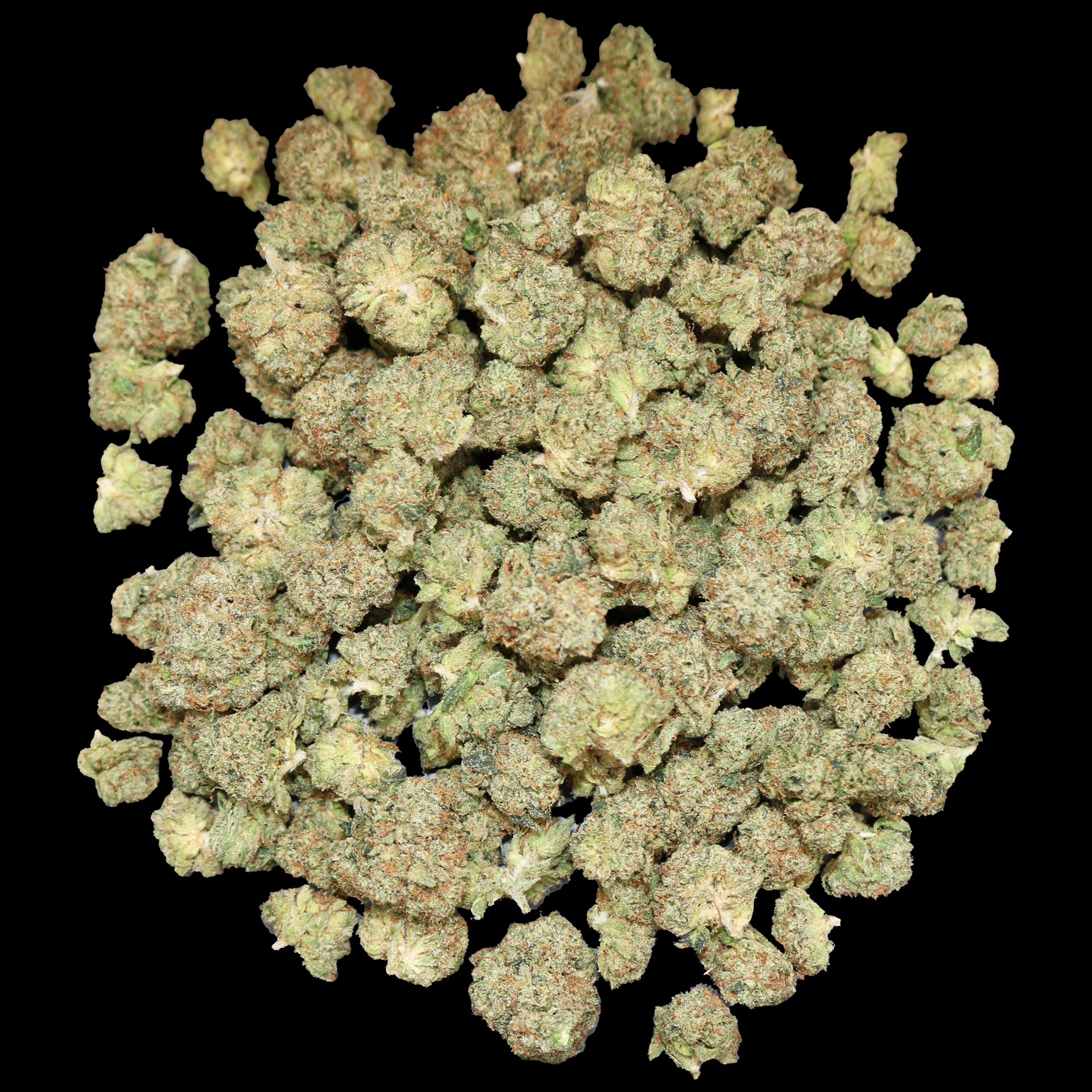 Emperor OG Small Buds - ($120 Oz. Deal) 1 Emperor OG Small Buds - ($120 Oz. Deal)
