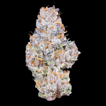 Connected - Gelato 41 | Premium Flower (3.5g) 3 Connected - Gelato 41 | Premium Flower (3.5g) 1