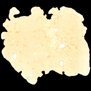 Goldiez Shatter - Jello Shotz (0.5 Oz.) 4 Goldiez Shatter - Jello Shotz (0.5 Oz.) 1