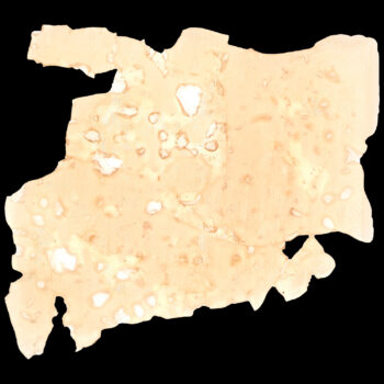 Goldiez Shatter - Orange Punch (0.5 Oz.) 4 Goldiez Shatter - Orange Punch (0.5 Oz.) 1