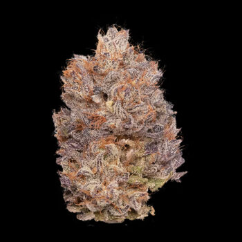 Heirbloom Legacy Flower - Blueberry 3.5G 5 Heirbloom Legacy Flower - Blueberry 3.5G - Image 2