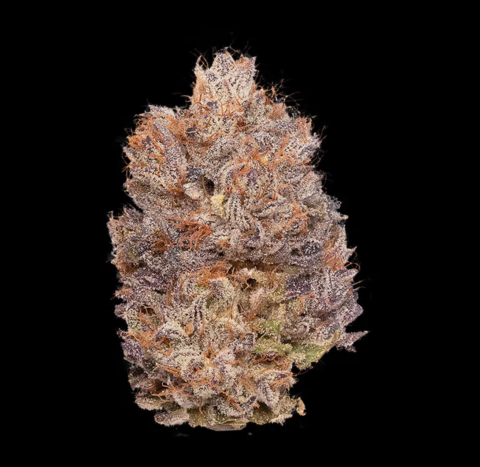 Heirbloom Legacy Flower - Blueberry 3.5G 2 Heirbloom Legacy Flower - Blueberry 3.5G - Image 2