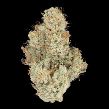 Heirbloom Legacy Flower - SFV OG 3.5G 5 Heirbloom Legacy Flower - SFV OG 3.5G - Image 2